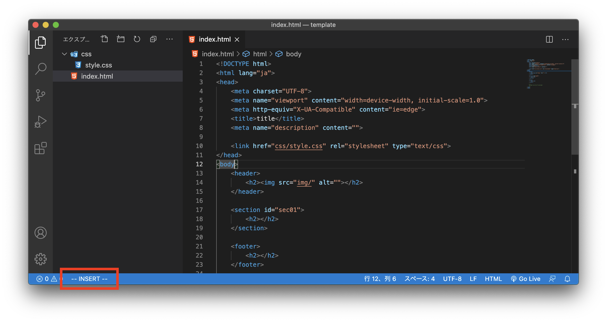 VSCode INSERT