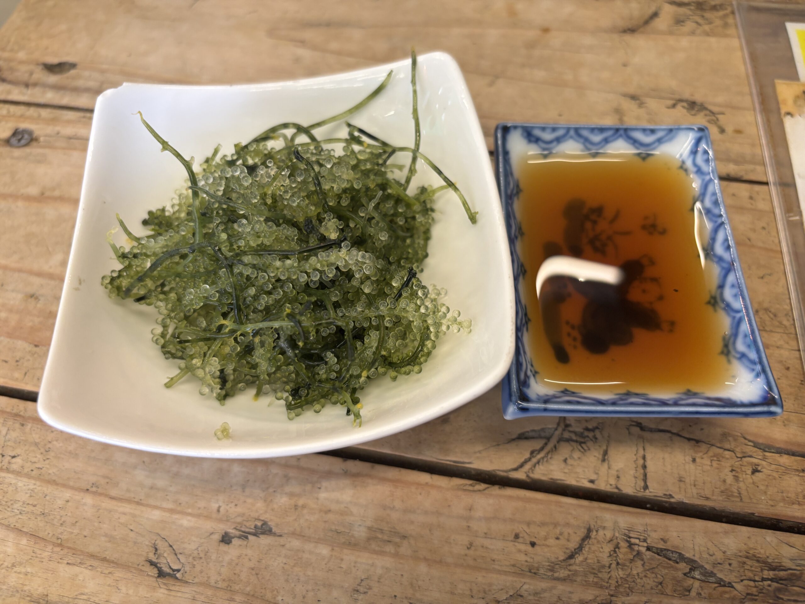 沖縄名物の海ぶどう